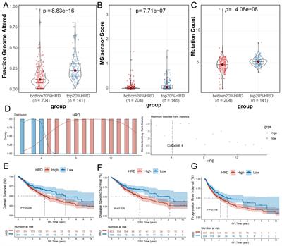 Development of a prognostic model related to homologous recombination deficiency in glioma based on multiple machine learning